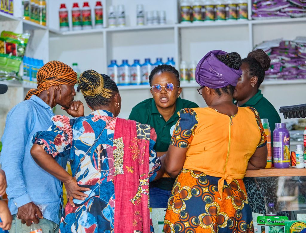 Building Power & Knowledge Networks